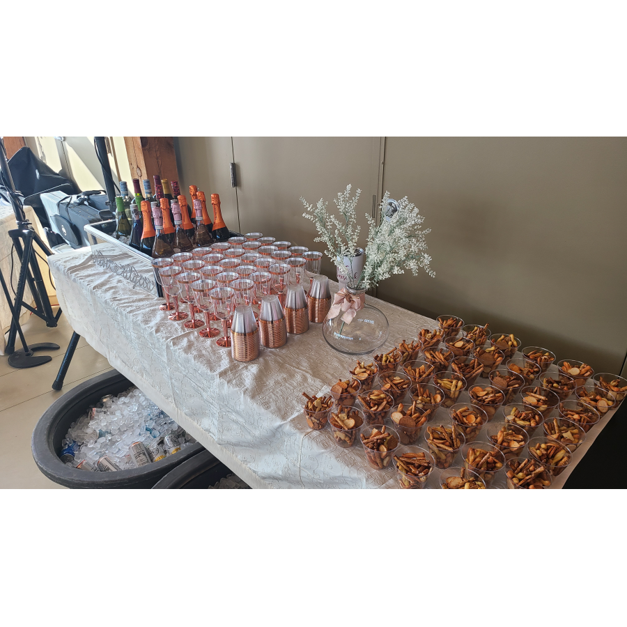 Benischek Reception 02